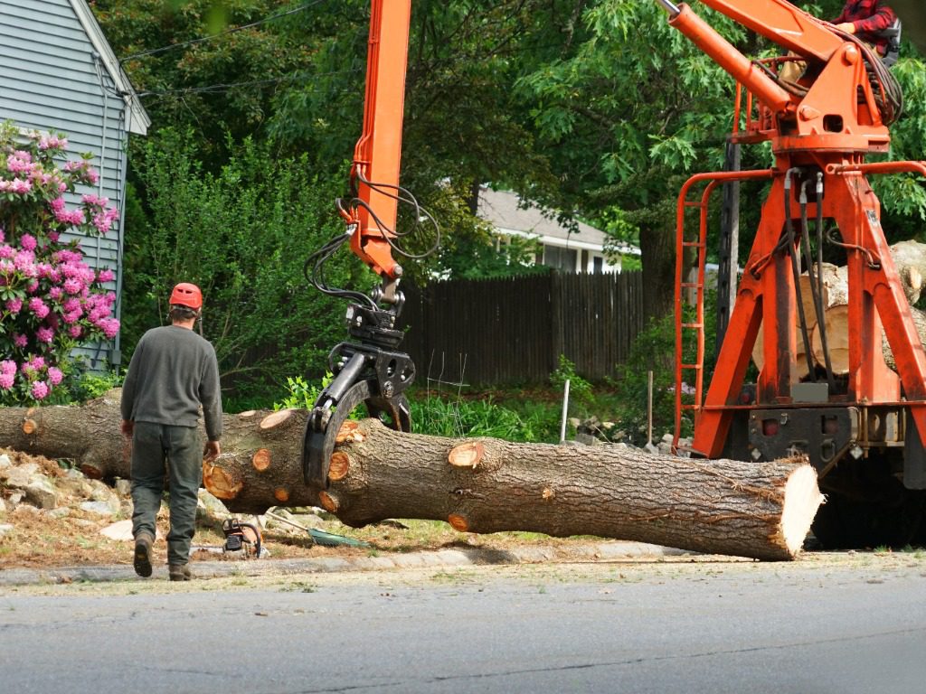 removed tree trunk by crane in residential area